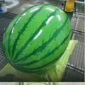 Luxury Watermelon Fiberglass Sculpture – Contemporary Statement Art for Indoor & Outdoor Spaces by Homeware Life